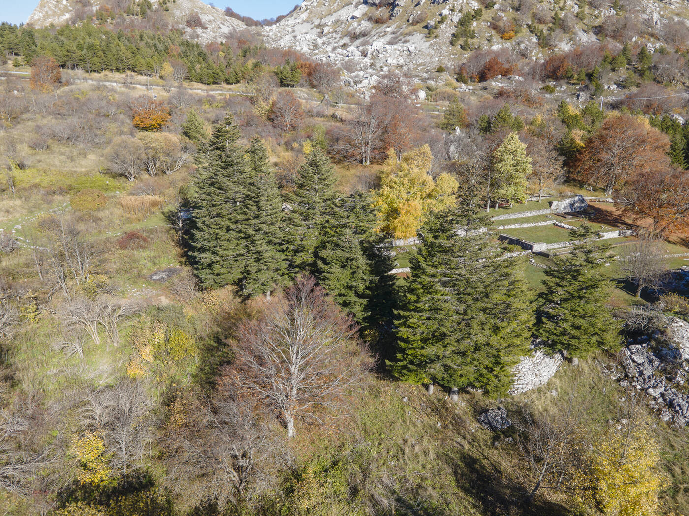 DJI_0125