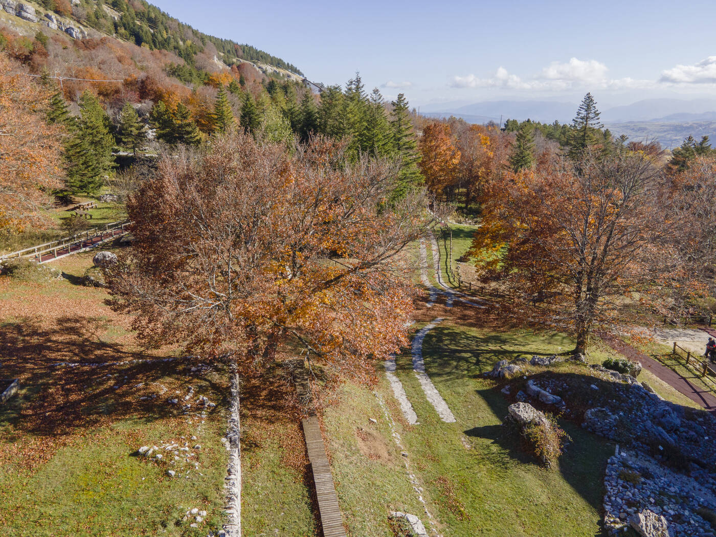 DJI_0135