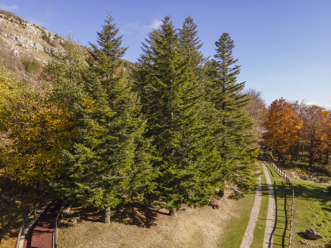 DJI_0145