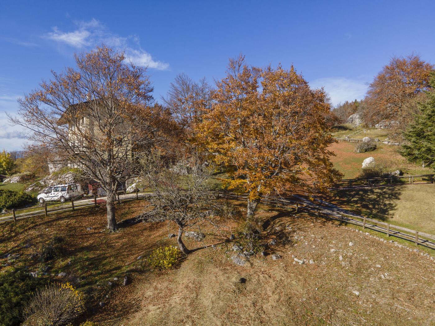 DJI_0150