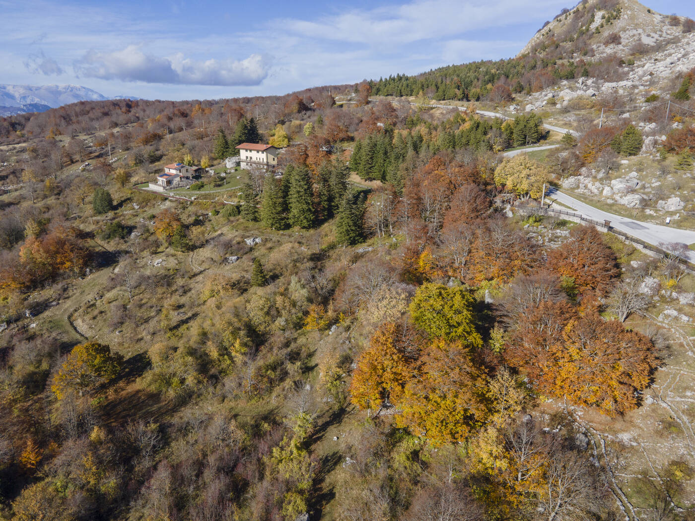 DJI_0166