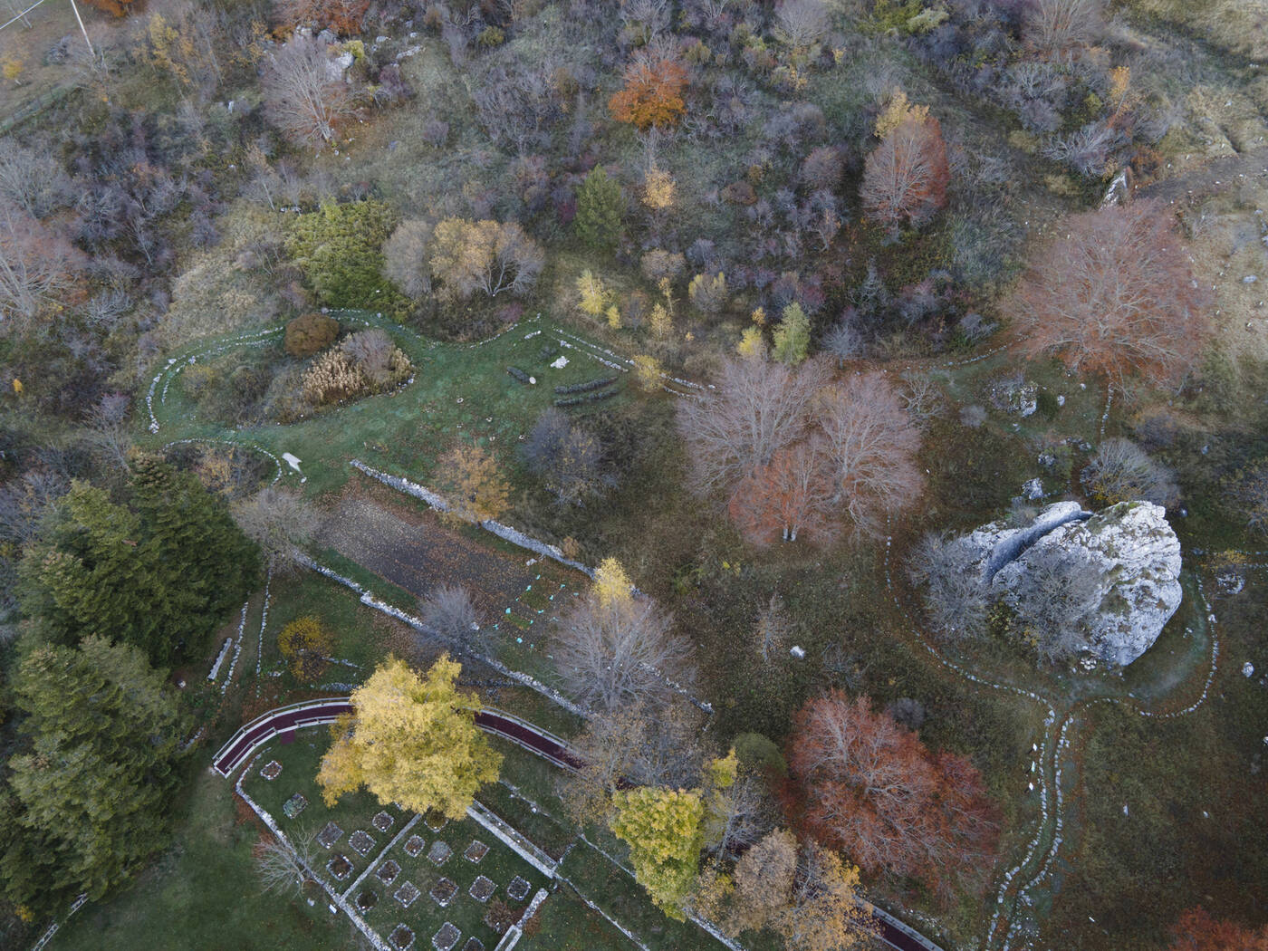 DJI_0239