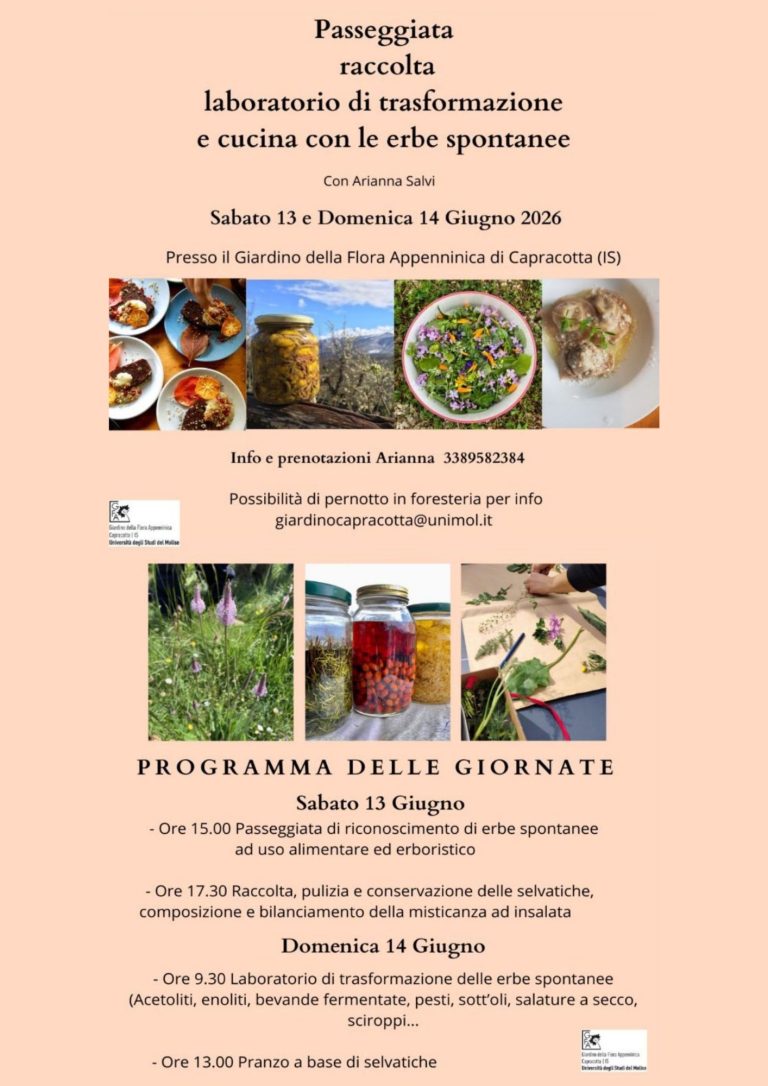 Passeggiata e laboratorio sulle erbe spontanee