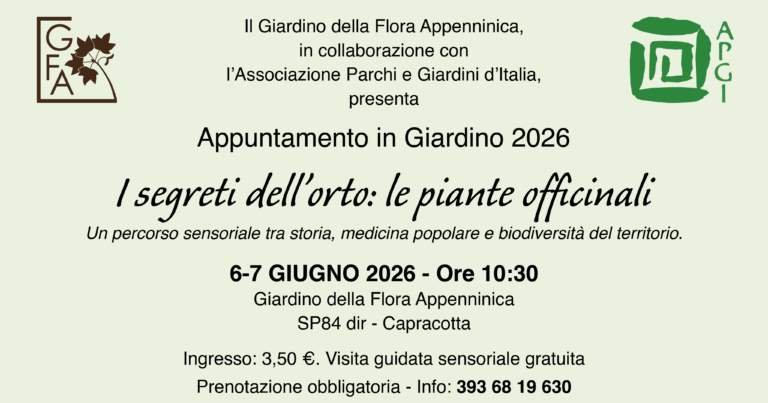 I segreti dell'Orto: le piante officinali